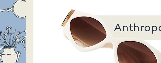 Anthropologie Sunglasses