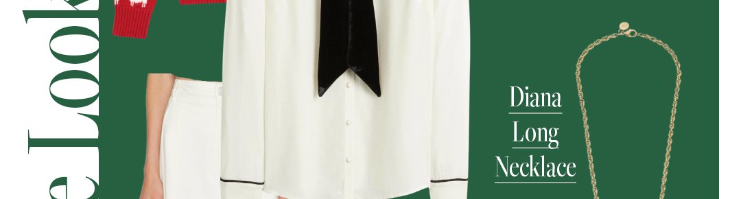 Diana Long Necklace